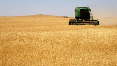 الزراعة السورية تمدّد مهلة التسجيل في “القرض الحسن” لدعم زراعة القمح